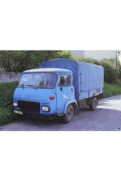 Plechová cedule AVIA 20x30cm