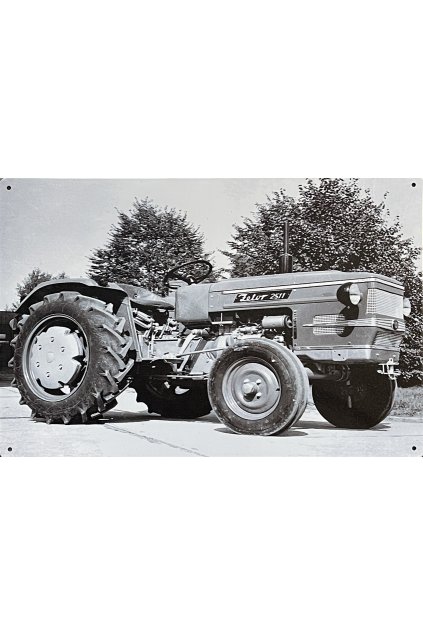 Plechová cedule Zetor 2511 20x30cm