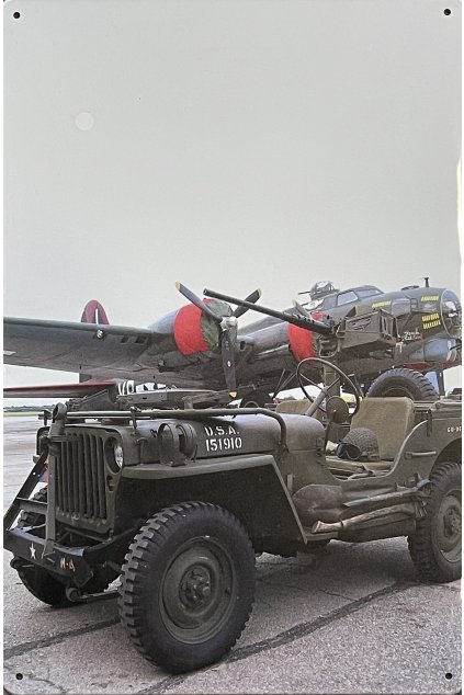 Plechová cedule Willys 151910 20x30cm