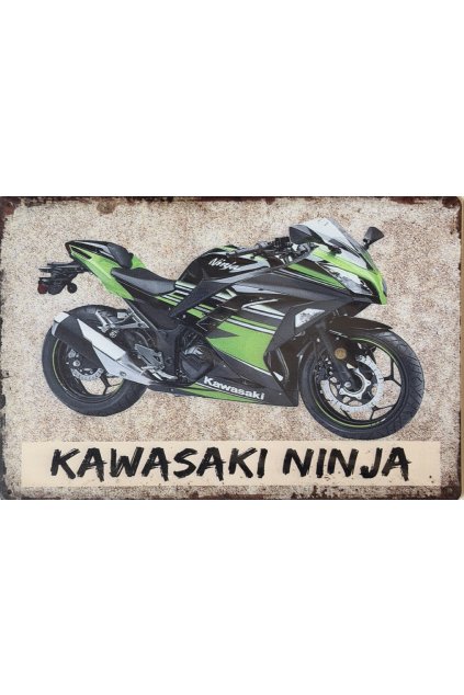 Plechová cedule NINJA 20x30cm