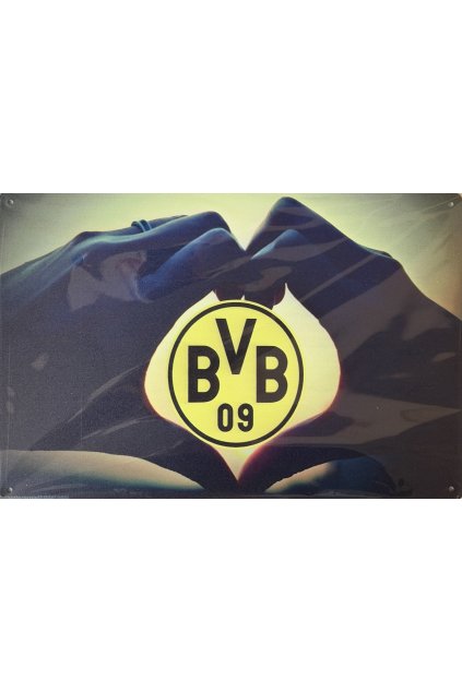 Plechová cedule Borussia Dortmund 20x30cm