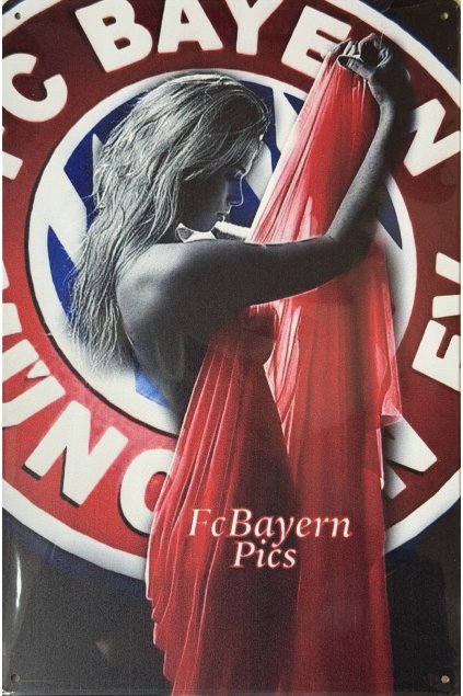 Plechová cedule FC Bayern 20x30cm