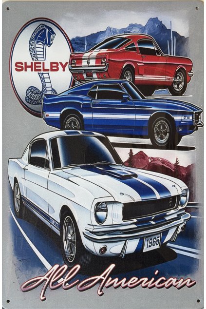 Plechová cedule All American 20x30cm