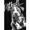 pitbull west coast damska kp mikina puppy cerna xs (4)