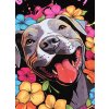 pitbull west coast damska kp mikina happy pit cerna xs (4)