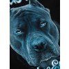 pitbull west coast panske triko blue eyed devil 23 cerne m (5)