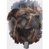 pitbull west coast panske triko hero bile s (2)