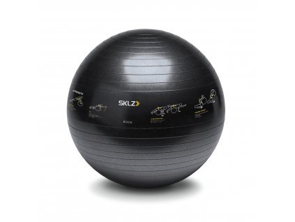 6104 sklz trainer ball gymnasticky mic 65 cm