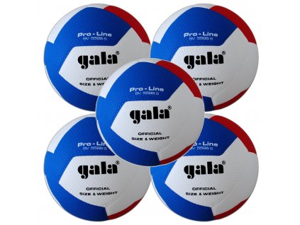 GALA Volejbalový míč Pro Line BV 5585 S