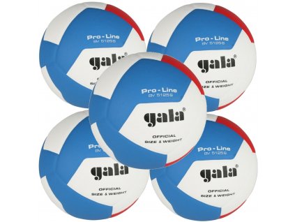 Volejbalový míč GALA BV5125S