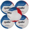 GALA Volejbalový profesionální míč Pro line 12 BV 5595 S
