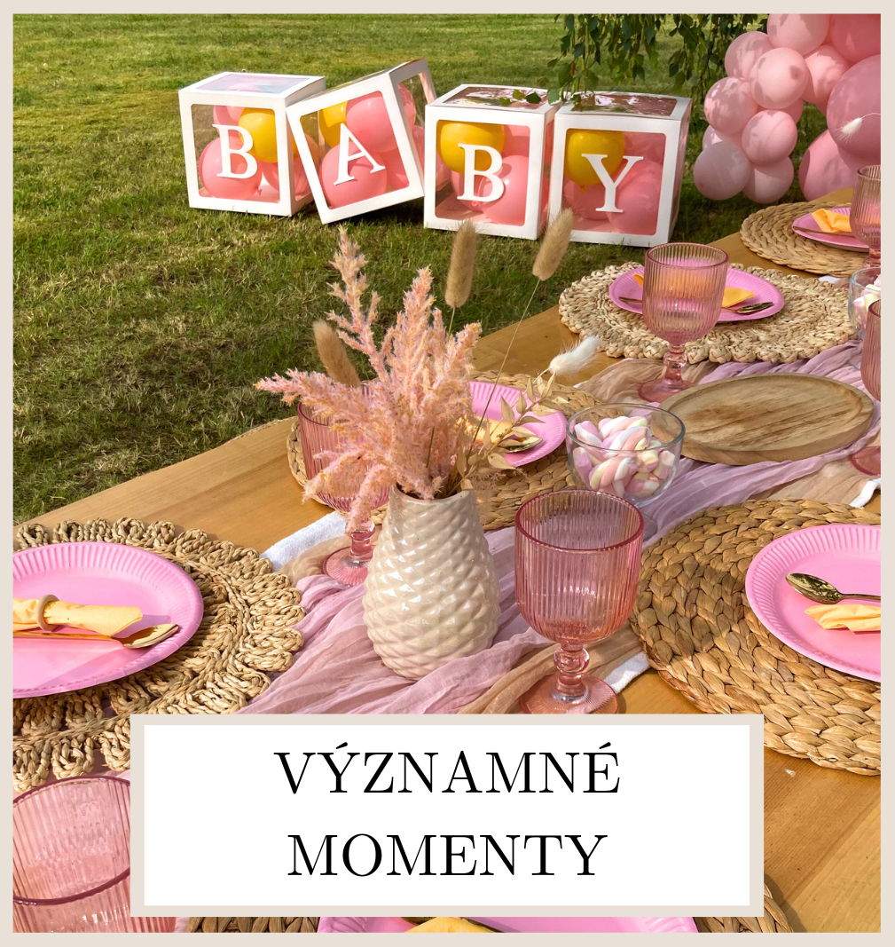 VÝZNAMNÉ MOMENTY