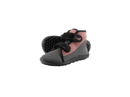 leguanito scippo rose Klett 01