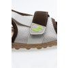 leguano attrektive nature 4