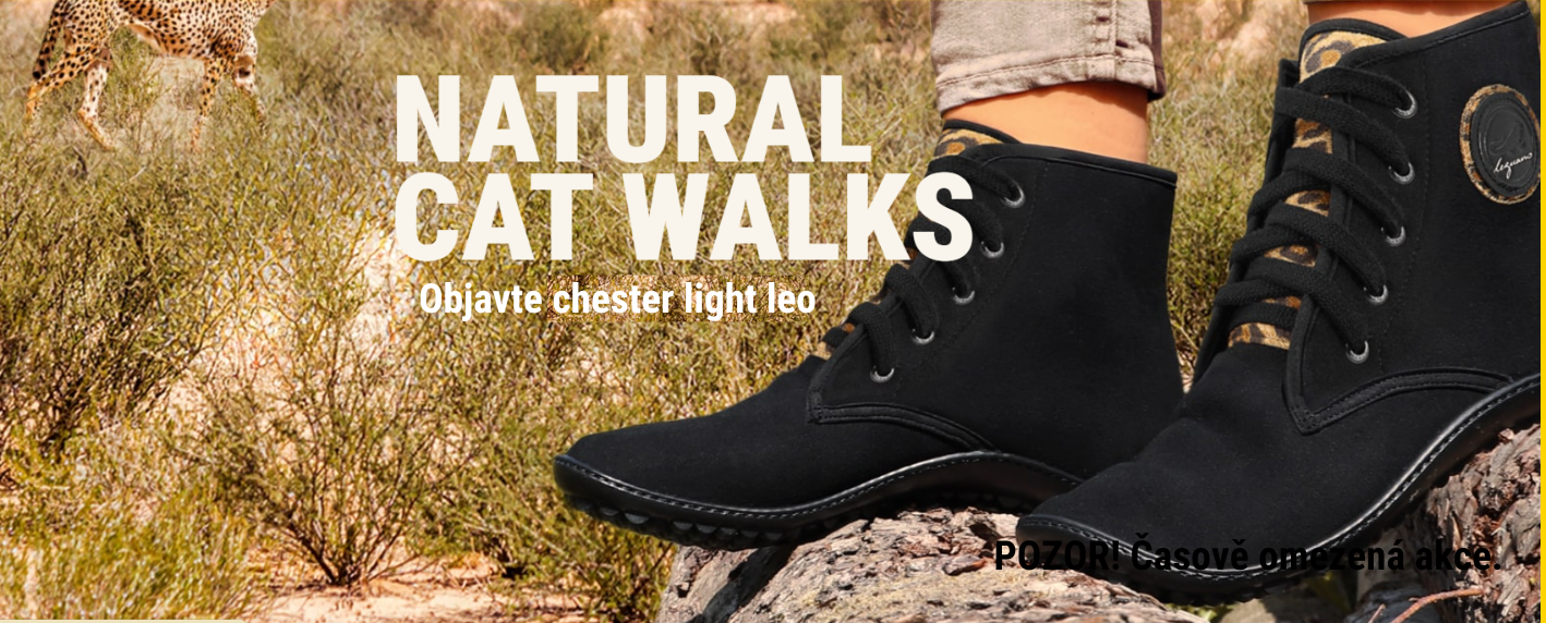 chester light leo