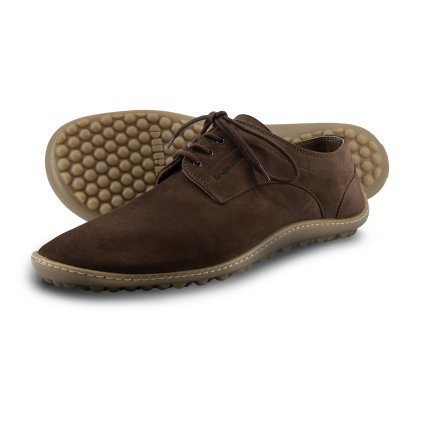 leguano dean mocca 1