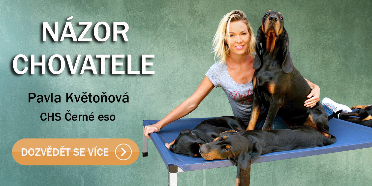 Názor chovatele na lehátka Anadi a Vetbed