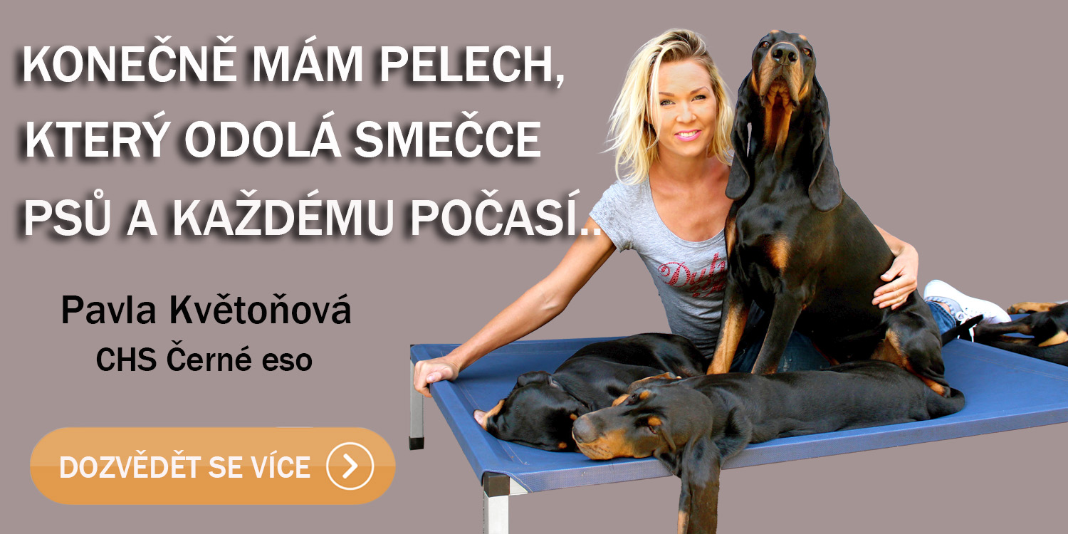 Názor chovatele na lehátka Anadi a Vetbed