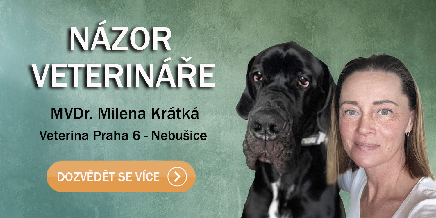 Názor veterináře na lehátka Anadi a Vetbed
