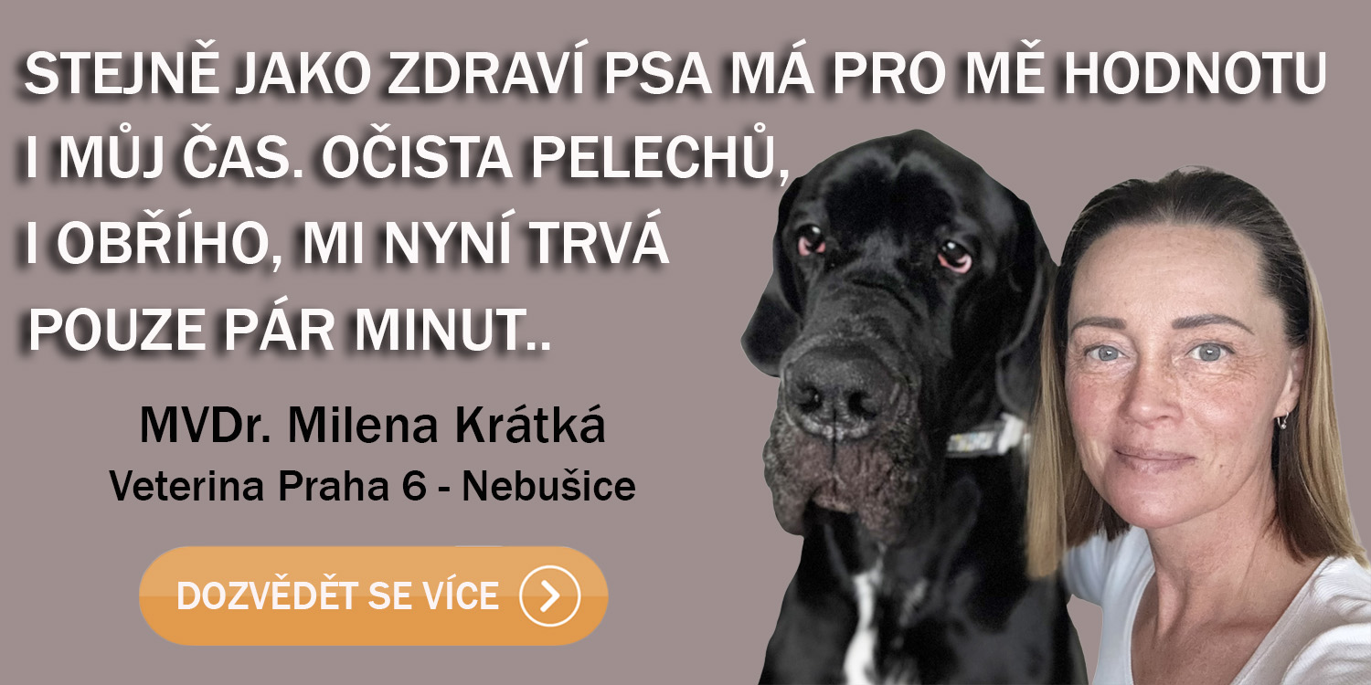 Názor veterináře na lehátka Anadi a Vetbed