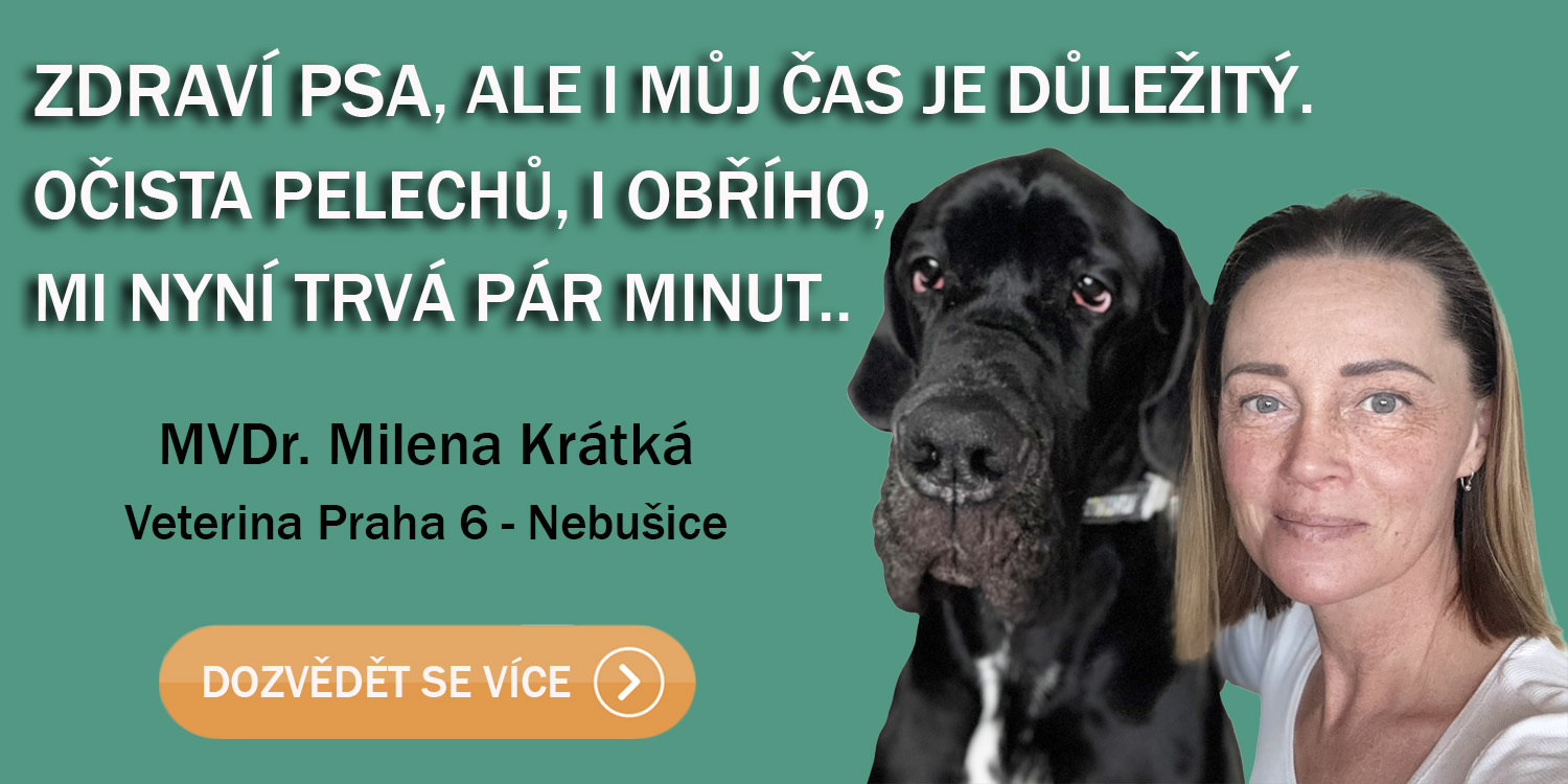 Názor veterináře na lehátka Anadi a Vetbed