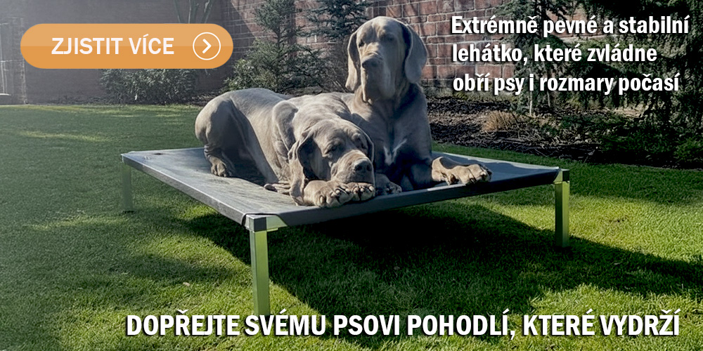 Německé dogy na lehátku Anadi