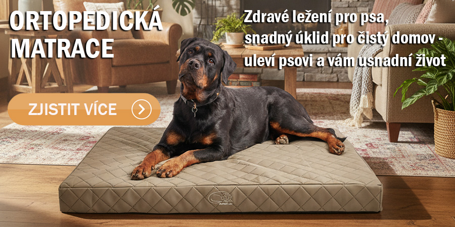 Ortopedická matrace Royal