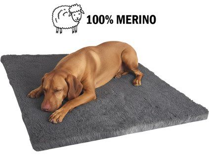 merino100 popis web