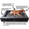 Pelech Royal Eli text
