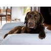 Matrace pro střední a velké psy šedá s podhlavníkem um. kůže M-2XL