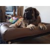 Matrace pro střední a velké psy hnědá s podhlavníkem um. kůže L-2XL