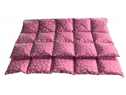 E0D24879 B1FE 41B1 81A7 E4ABCC154C7B