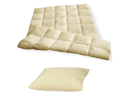 BE6ED04F 52D8 41CD ACE1 861C94A0CF59