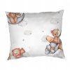 teddy bear plane 40x50a