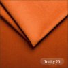 Trinity 25 Rust