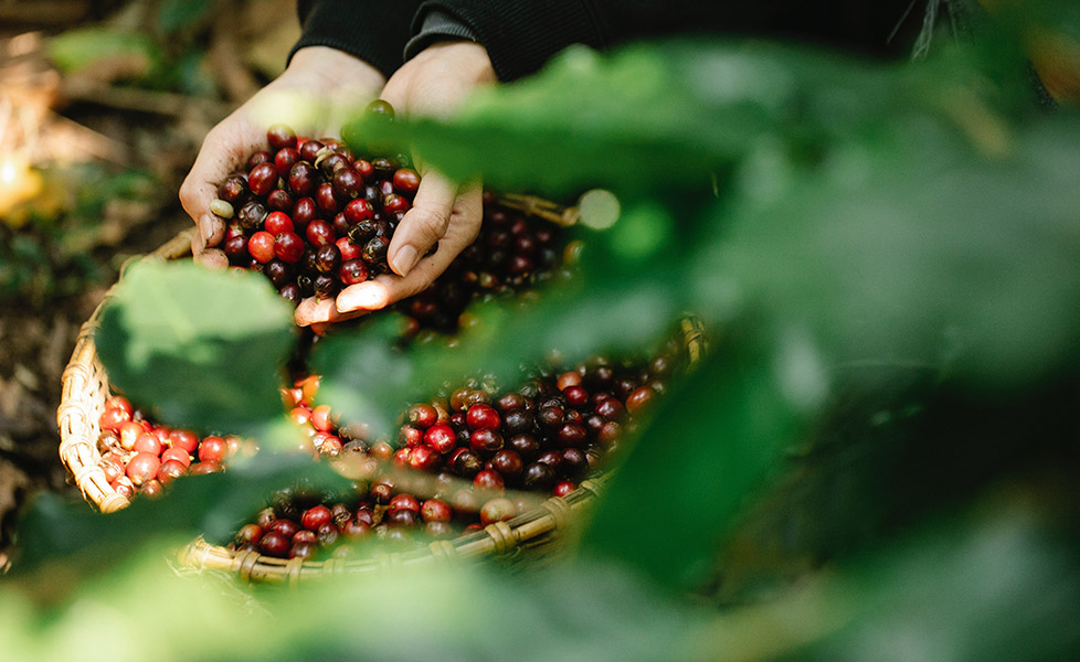 Ako predísť upchávaniu ciev? (2)