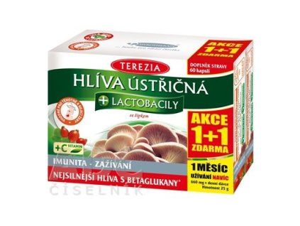 hliava lakt 60+60