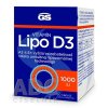 gs lipo d3 1000