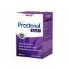 WALMARK Prostenal NIGHT 60 tbl