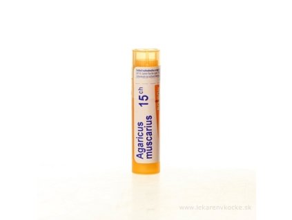 AGARICUS MUSCARIUS 4 g