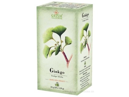 GREŠÍK GINKO 20x1,2 g
