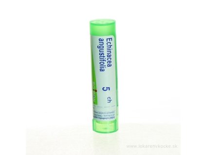 ECHINACEA ANGUSTIFOLIA 4 g