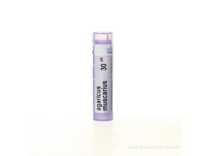AGARICUS MUSCARIUS 4 g