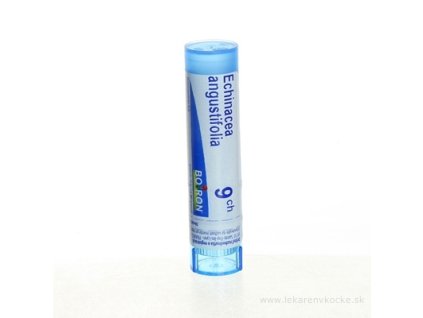 ECHINACEA ANGUSTIFOLIA 4 g