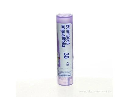 ECHINACEA ANGUSTIFOLIA 4 g