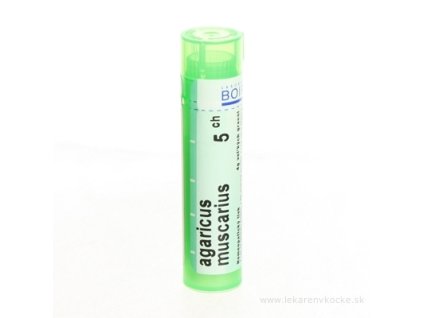 AGARICUS MUSCARIUS 4 g