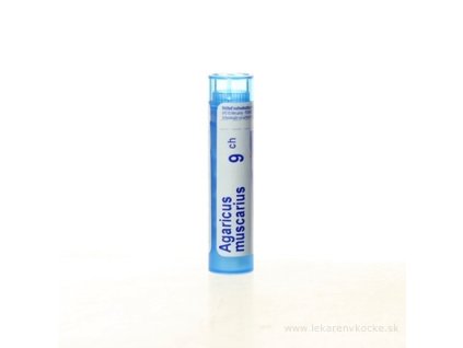 AGARICUS MUSCARIUS 4 g