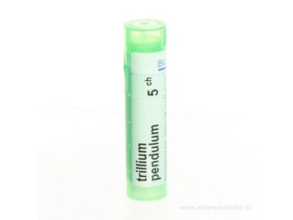 TRILLIUM PENDULUM 4 g