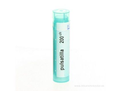 PULSATILLA 4 g