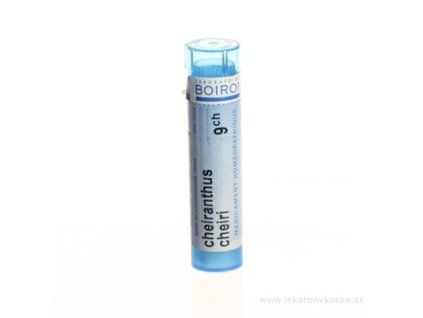 CHEIRANTHUS CHEIRI 4 g